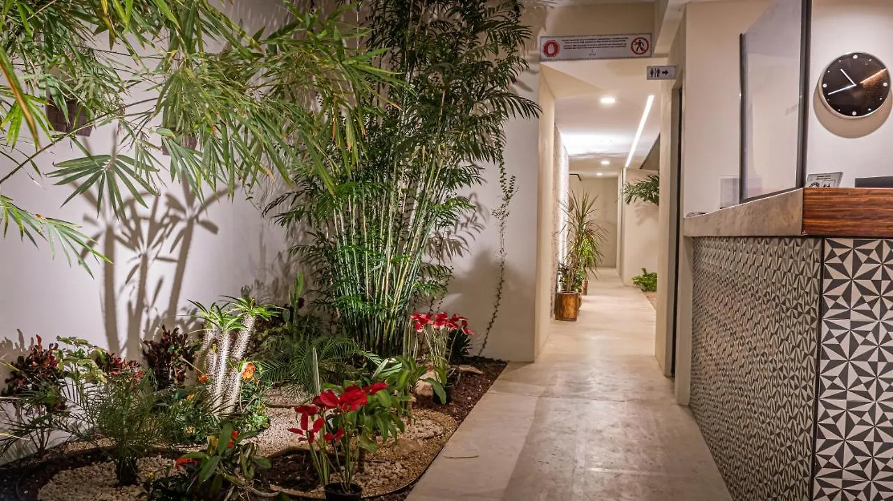 Moonshine Tulum Hotel & Hostel 墨西哥
